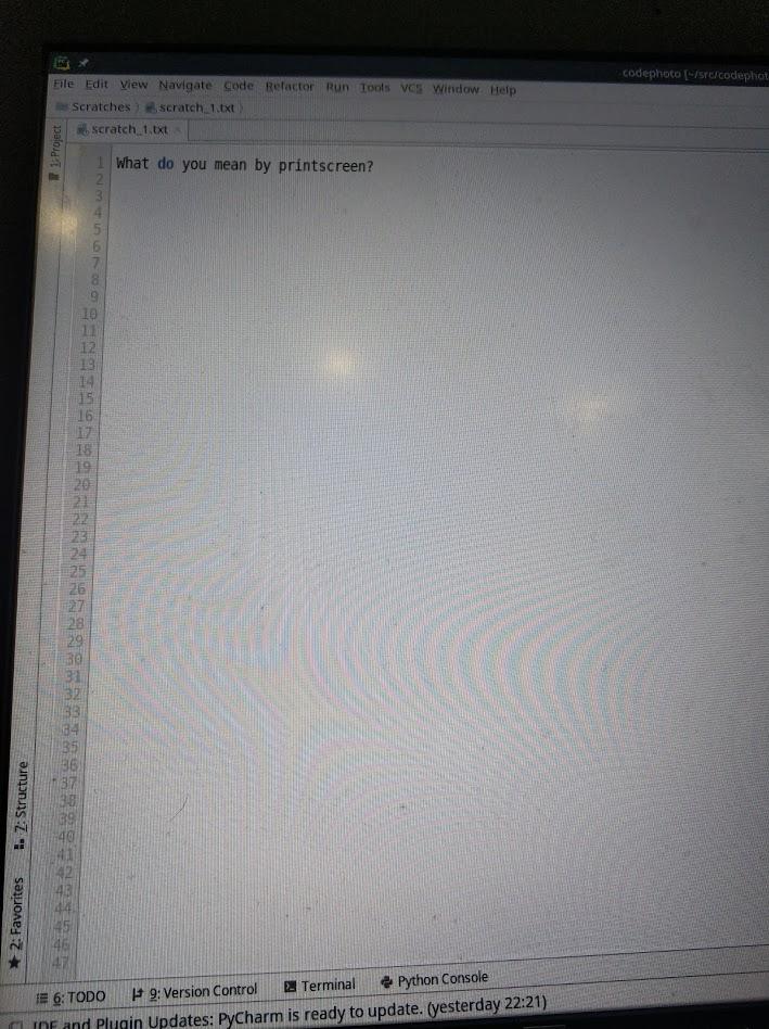 QPur1.jpg